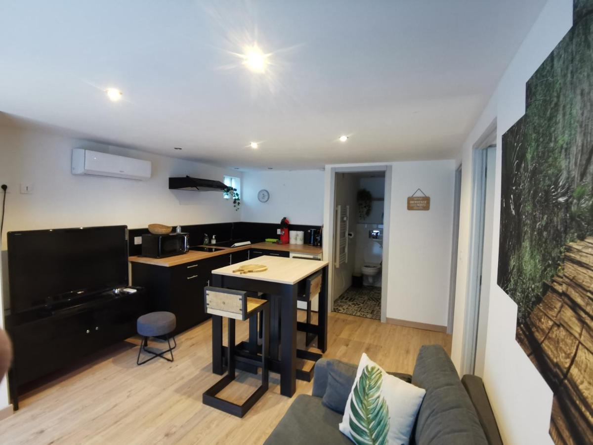 Apartment 2 Avec Piscine Sernhac
